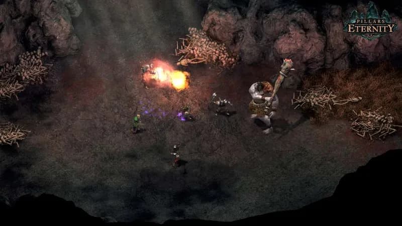 Pillars of Eternity Definitive Edition PC Steam Account - 2