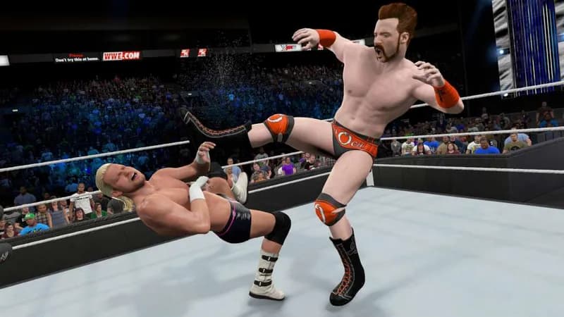 WWE 2K15 PC Steam CD Key - 5