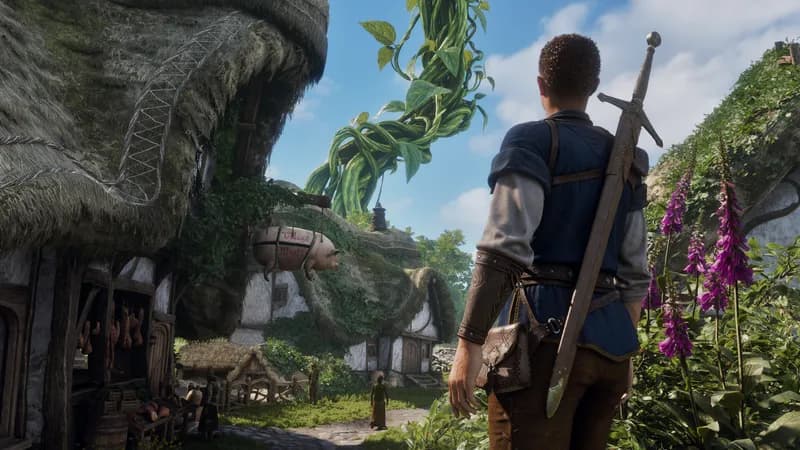 Fable Premium Edition PC Steam Account - 5