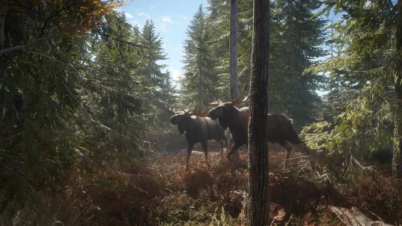 theHunter: Call of the Wild - Hunting Starter Pack Bundle PC Steam Account - 4