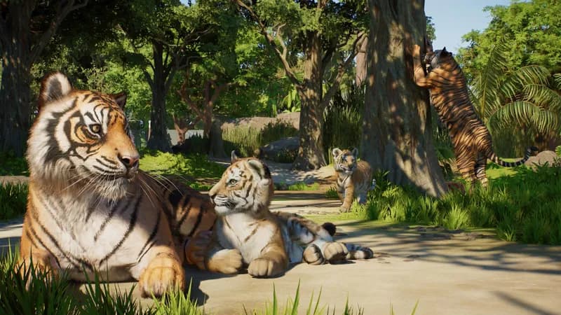 Planet Zoo 2 Deluxe Edition PC Steam Account - 3
