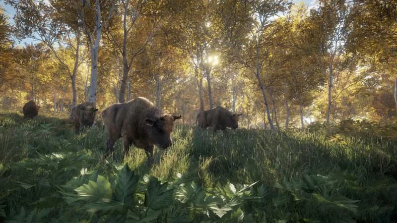 theHunter: Call of the Wild US Steam CD Key - 4