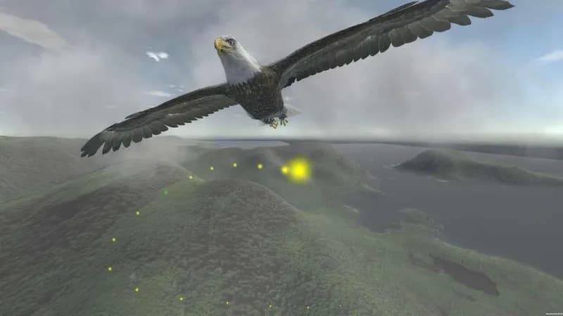 Aquila Bird Flight Simulator Steam CD Key - 3