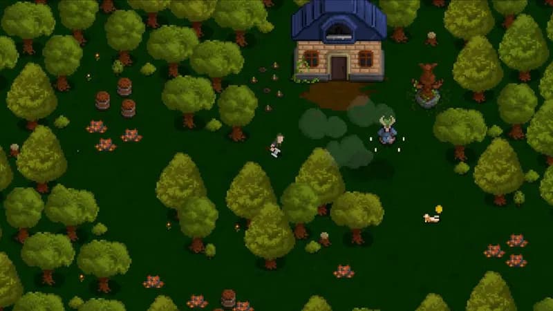 Totem Steam CD Key - 3