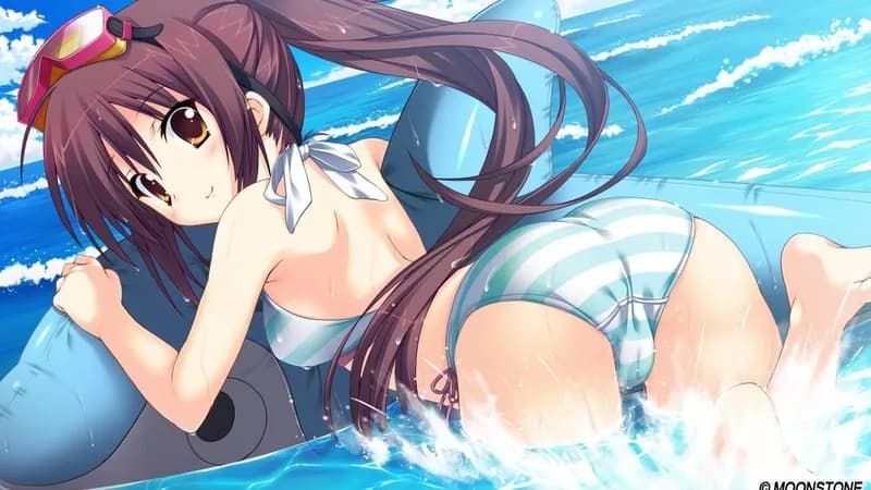 Princess Evangile W Happiness Steam Edition Steam CD Key - 4