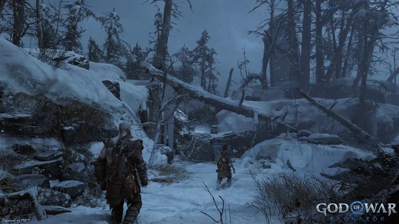 God Of War Ragnarök Deluxe Edition PC Steam Account - 2