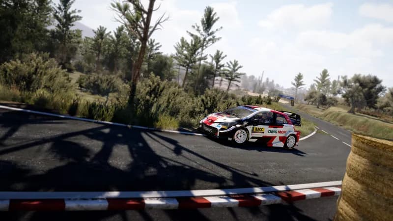 WRC 10 FIA World Rally Championship Deluxe Edition PC Steam Account - 5