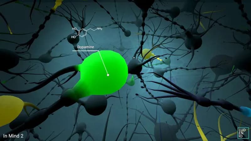 InMind 2 VR Steam CD Key - 3
