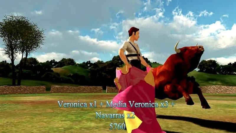 Toro Steam CD Key - 3