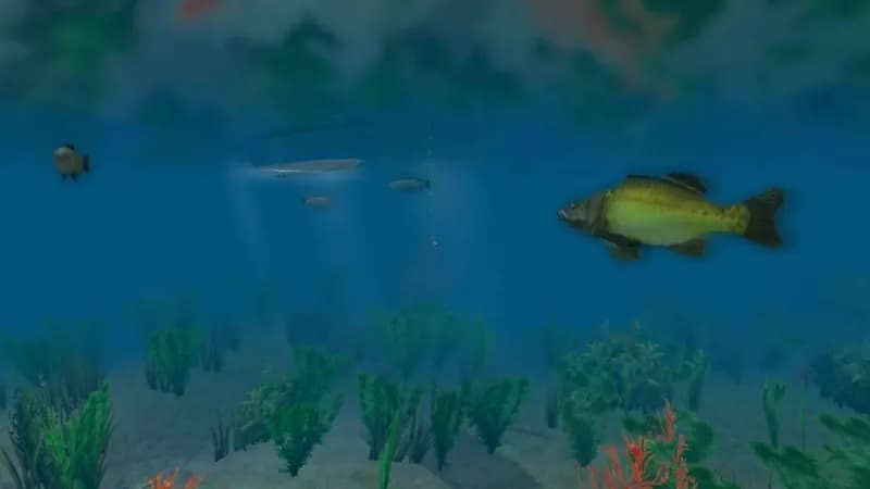 European Fishing Steam CD Key - 2