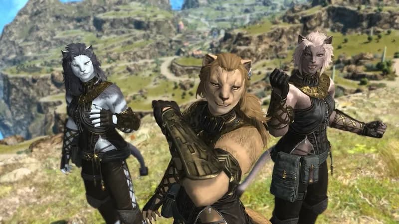 Final Fantasy XIV Dawntrail Complete Edition PC Steam Account - 4