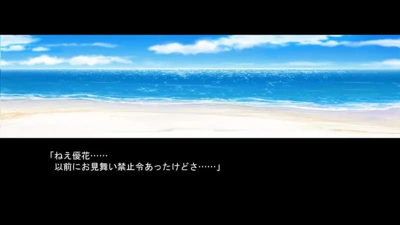 Narcissu 10th Anniversary Anthology Project Steam CD Key - 5