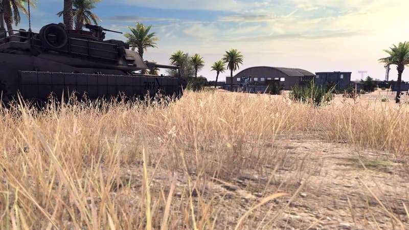 Call to Arms PC Steam Account - 4