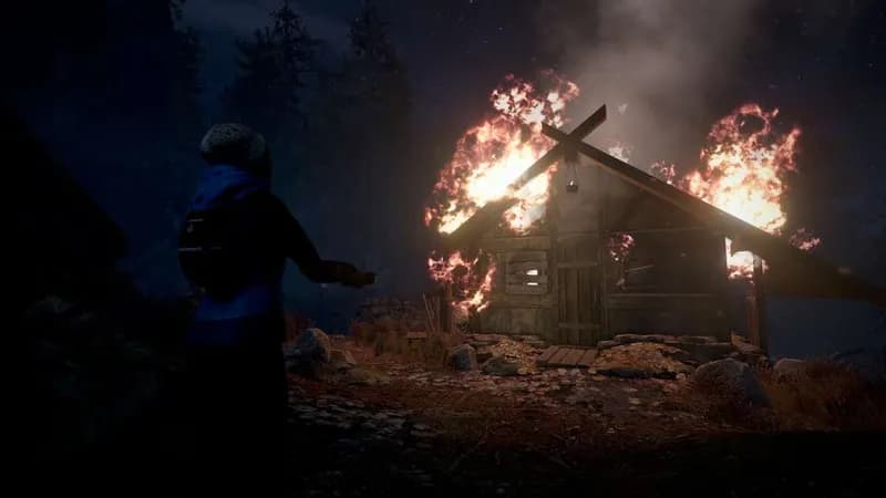 Through the Woods Steam CD Key - 4