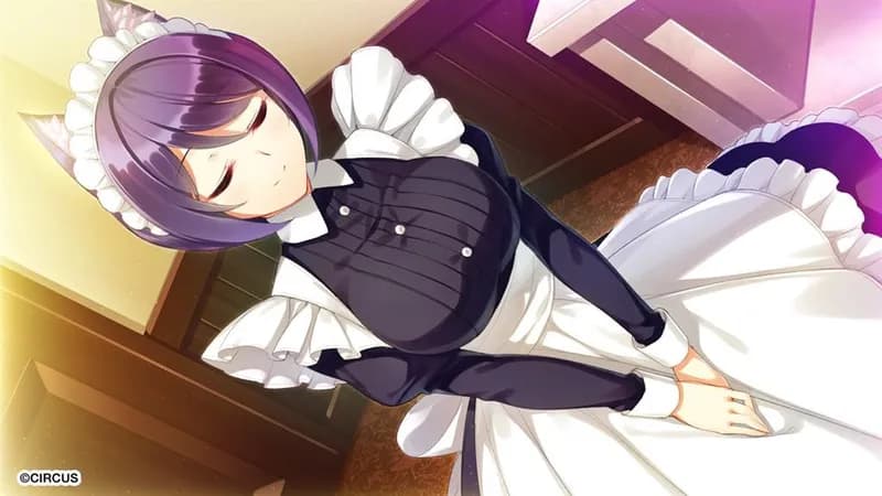 Space Live: Advent of the Net Idols Steam CD Key - 2