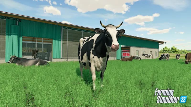 Farming Simulator 22 Platinum Edition PC Steam Account - 3