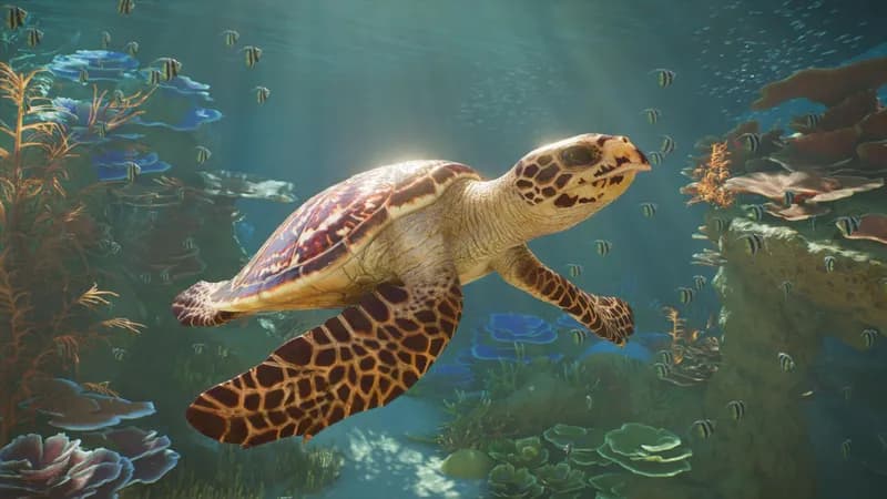 Planet Zoo 2 Deluxe Edition PC Steam Account - 5