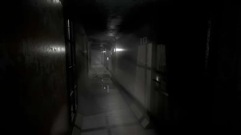 Gridberd Steam CD Key - 2
