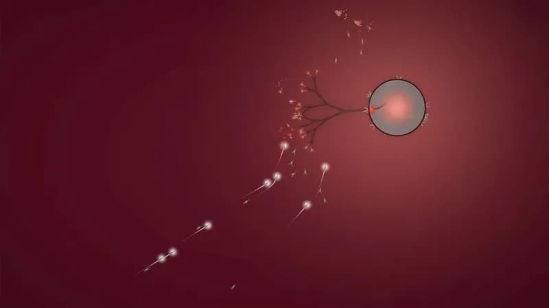 Eufloria HD Deluxe Edition Steam CD Key - 5