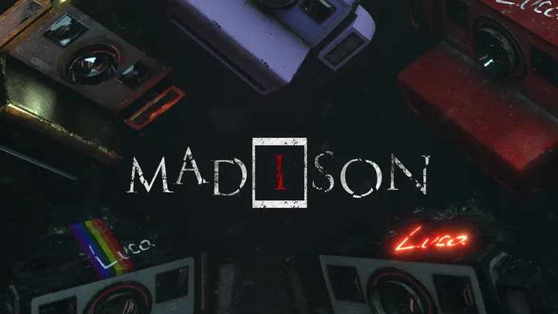 MADiSON: MAD SON Bundle PC Steam Account - 2