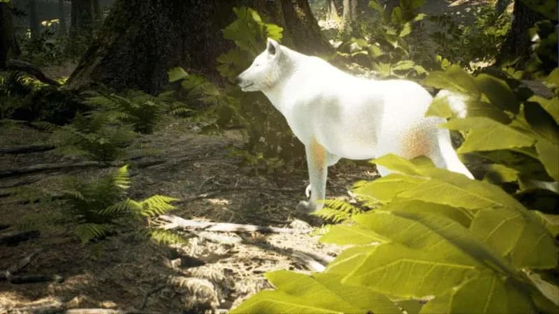 Survivalizm - The Animal Simulator Steam CD Key - 5