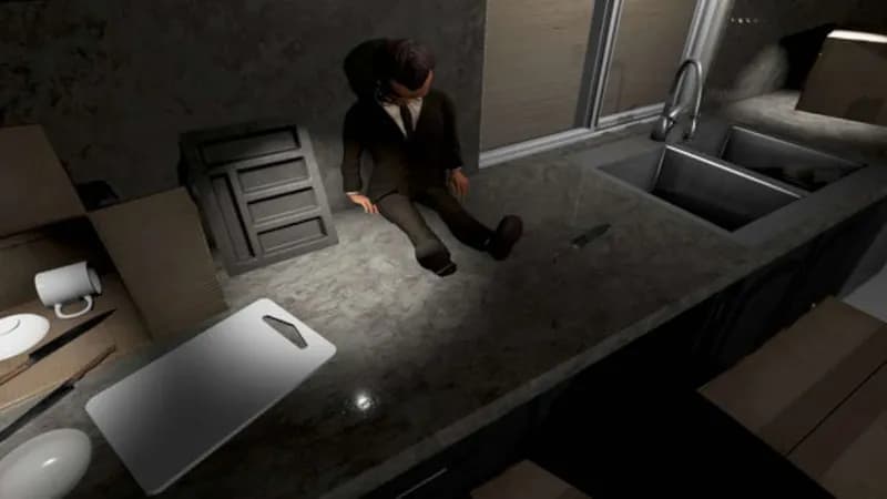 Emily Wants To Play PC Steam CD Key - 2