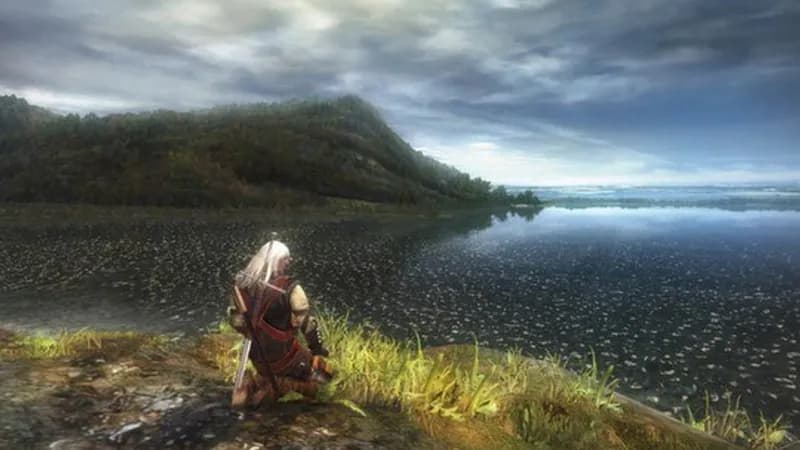 The Witcher Trilogy PC Steam Account - 5