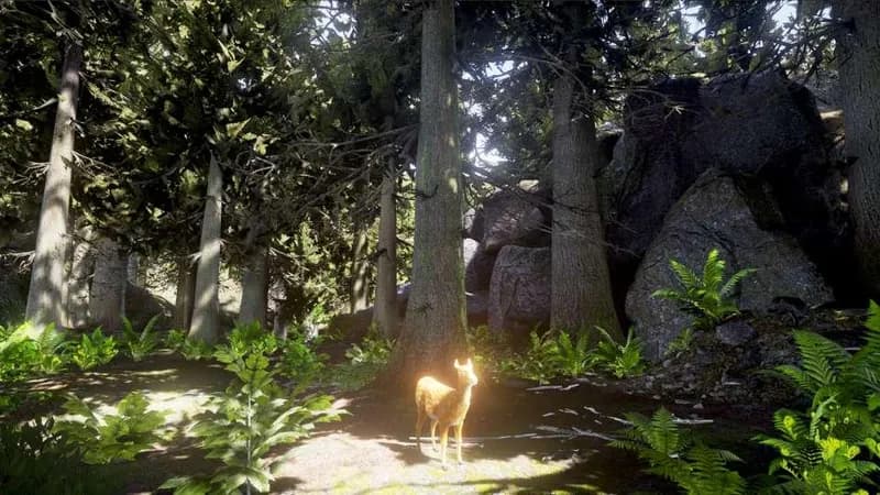 Survivalizm - The Animal Simulator Steam CD Key - 3