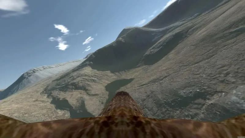 Aquila Bird Flight Simulator Steam CD Key - 2