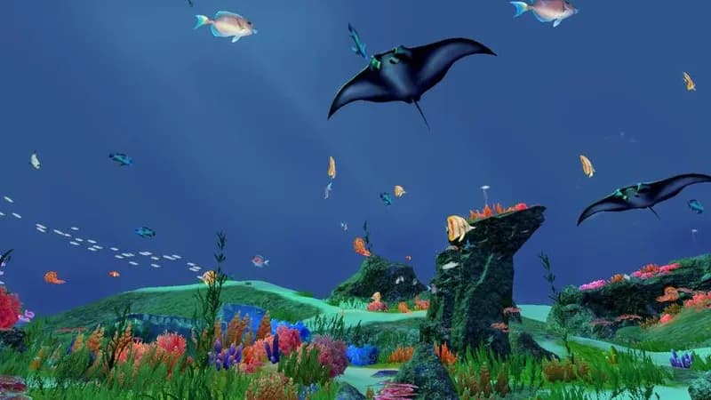Fancy Fishing VR PC Steam CD Key - 5