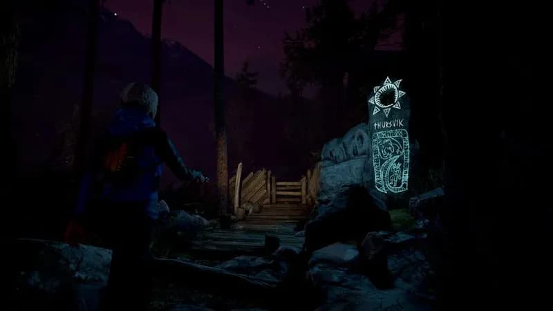 Through the Woods: Collector's Edition Steam CD Key - 3
