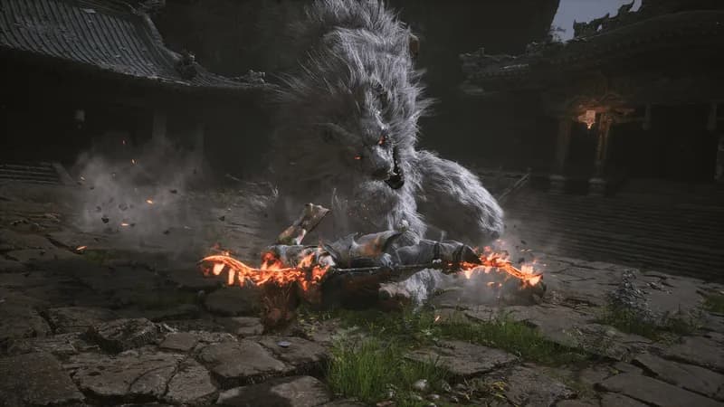 Black Myth: Wukong Deluxe Edition PC Steam Account - 4