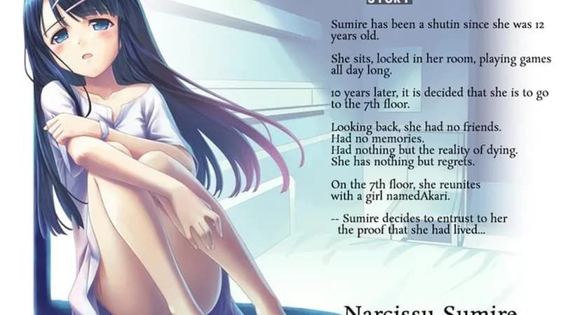 Narcissu 10th Anniversary Anthology Project - Season Pass DLC Steam CD Key - 4