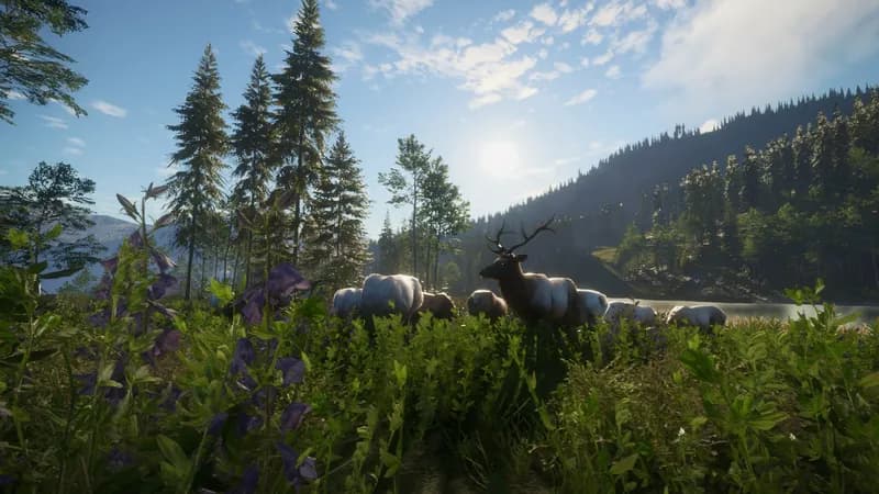 theHunter: Call of the Wild - Hunting Starter Pack Bundle PC Steam Account - 2