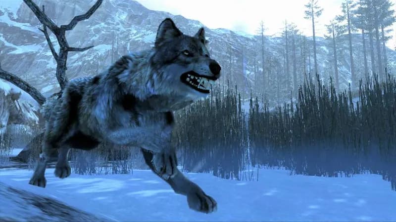 Cabela's Dangerous Hunts 2013 Steam CD Key - 3