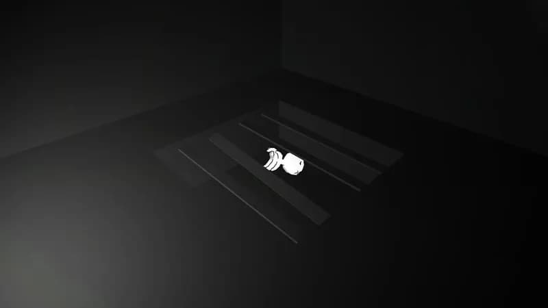 Bouncing Duck Simulator Steam CD Key - 2