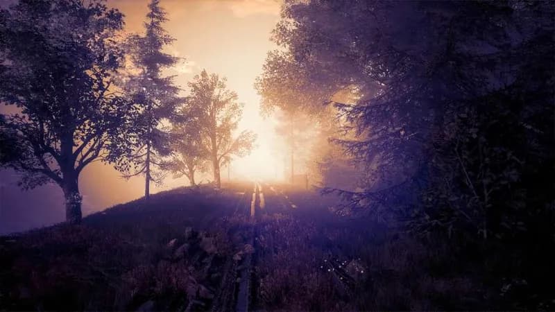 The Butterfly Sign: Human Error Steam CD Key - 2