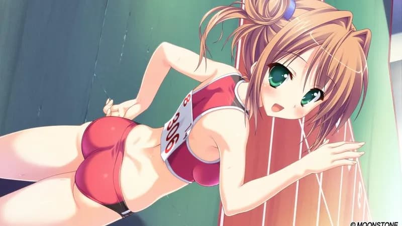 Princess Evangile W Happiness Steam Edition Steam CD Key - 2