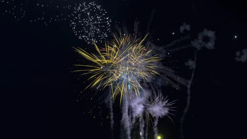 Fireworks Mania PC Steam Account - 3