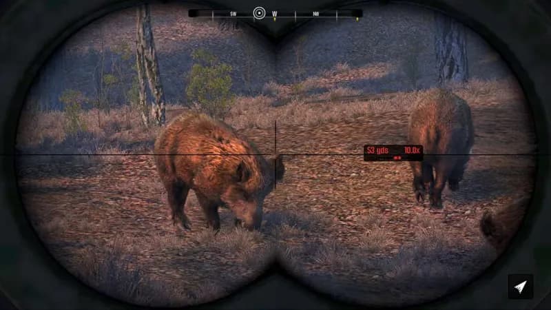 Cabela's Big Game Hunter Pro Hunts Steam CD Key - 2