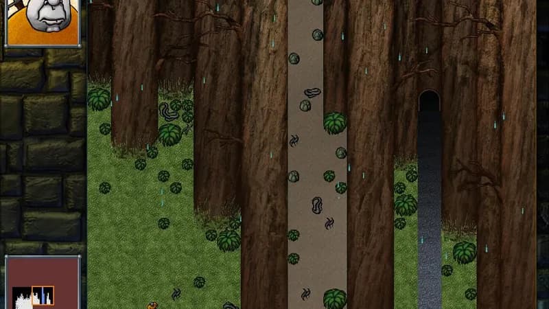 DROD: Gunthro and the Epic Blunder Steam CD Key - 2