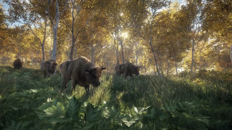 theHunter: Call of the Wild - Hunting Starter Pack Bundle PC Steam Account - 5