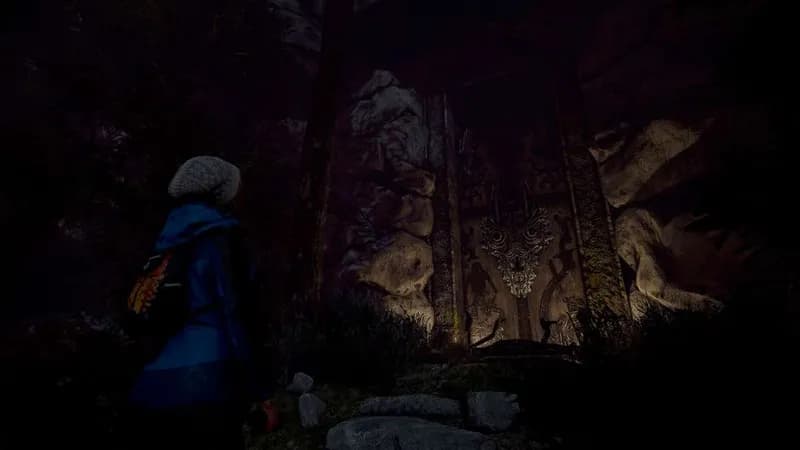Through the Woods: Collector's Edition Steam CD Key - 2