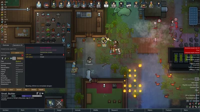 RimWorld - Starter Pack Bundle Steam Account - 2