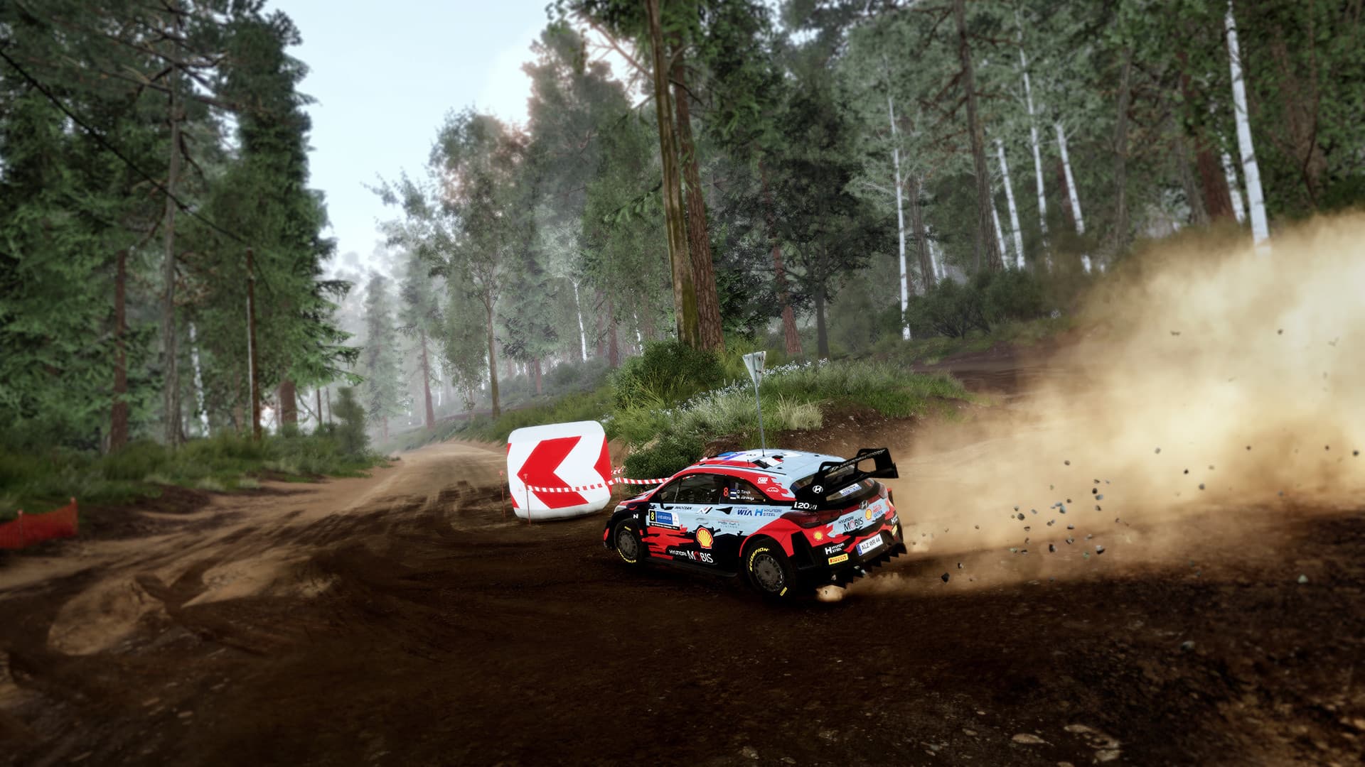 WRC 10 FIA World Rally Championship PC Steam Account - 5