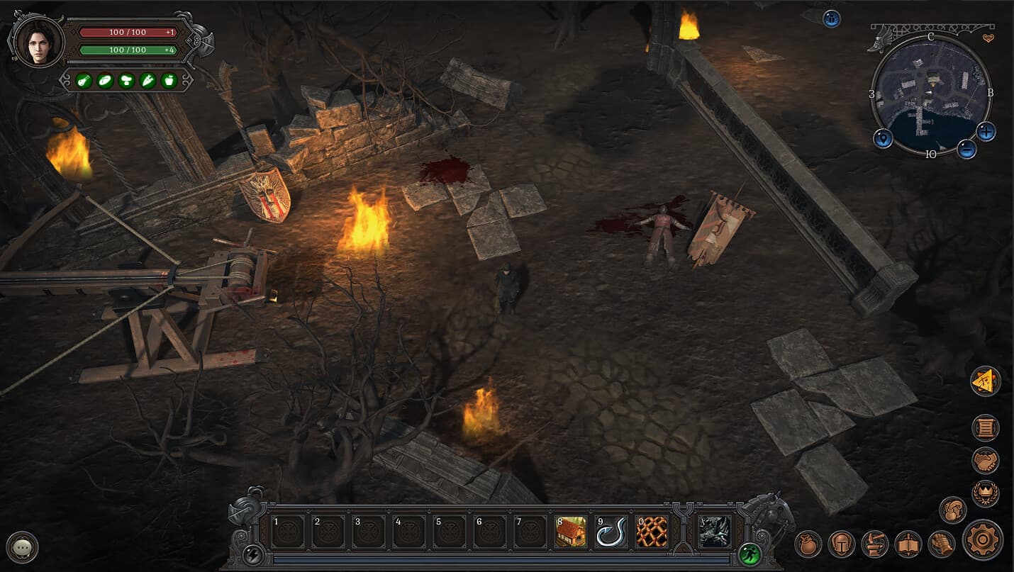 Wild Terra 2: New Lands PC Steam Account - 2