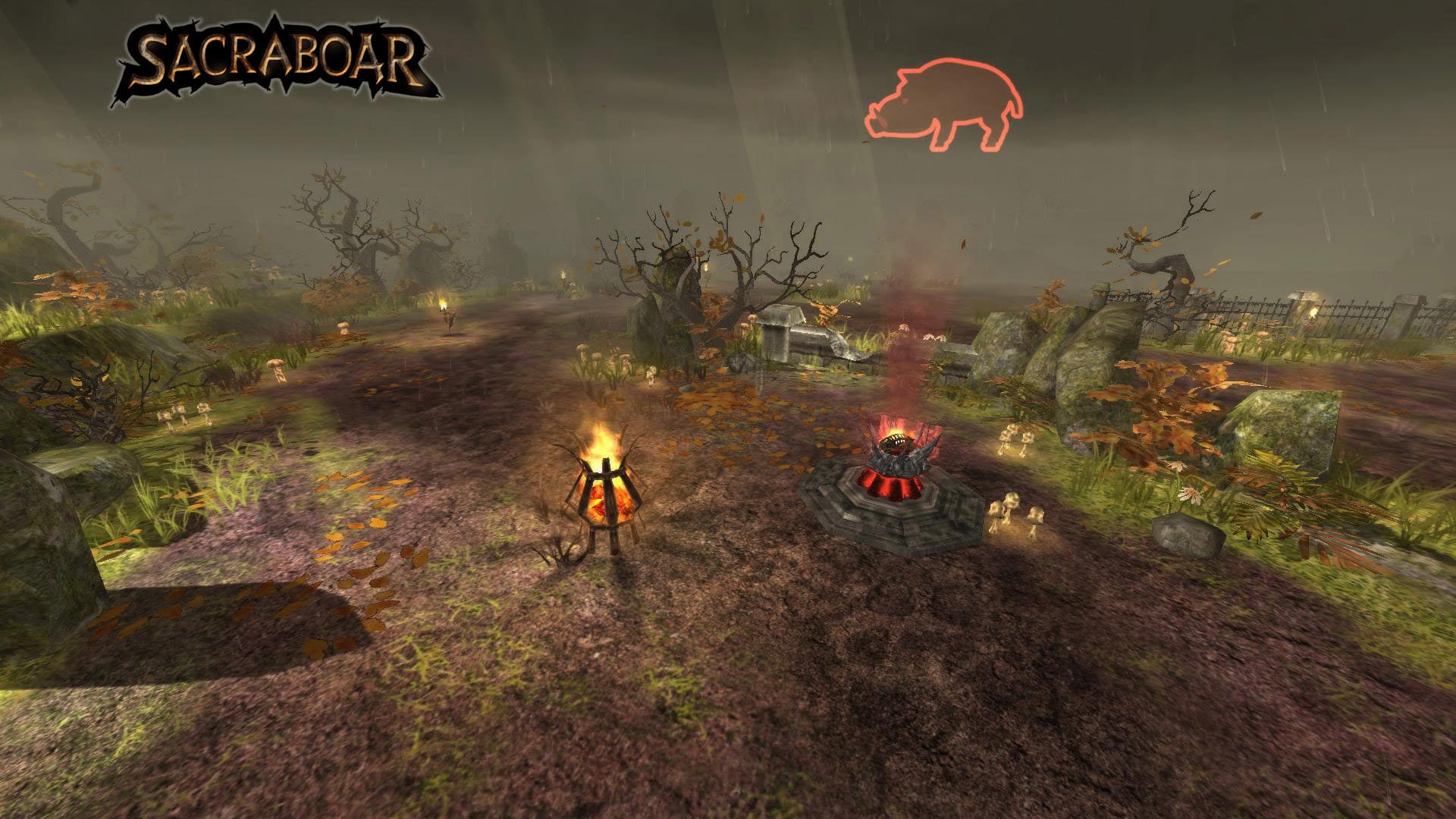 Sacraboar Steam CD Key - 7