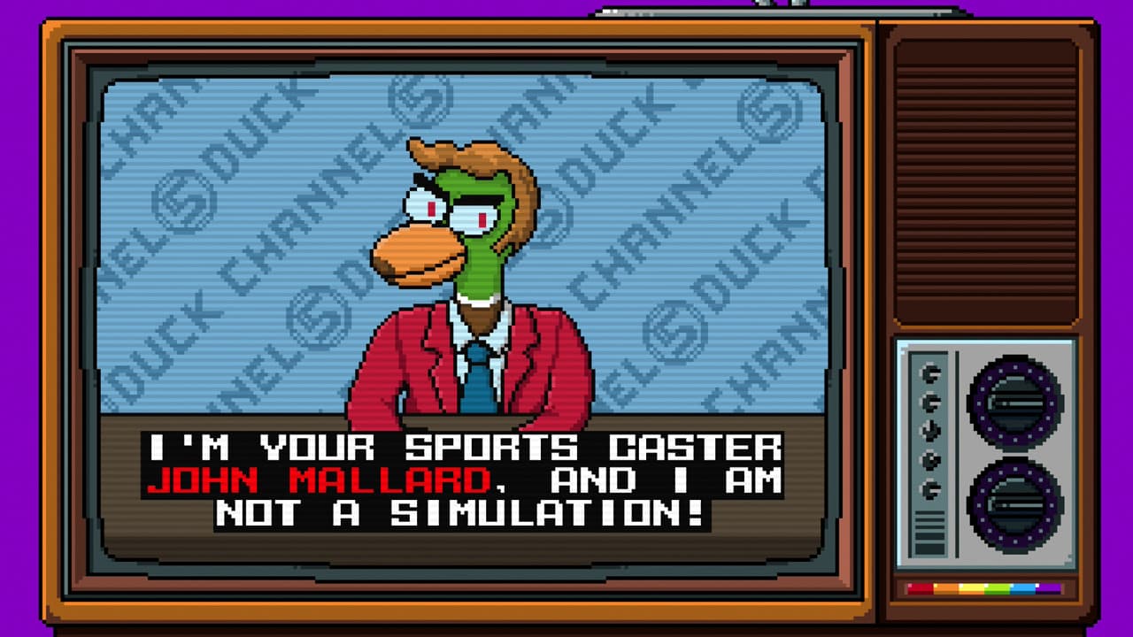 Duck Game Steam CD Key - 5