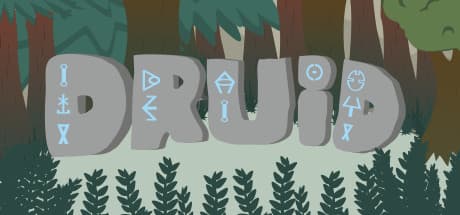 Druid Steam CD Key