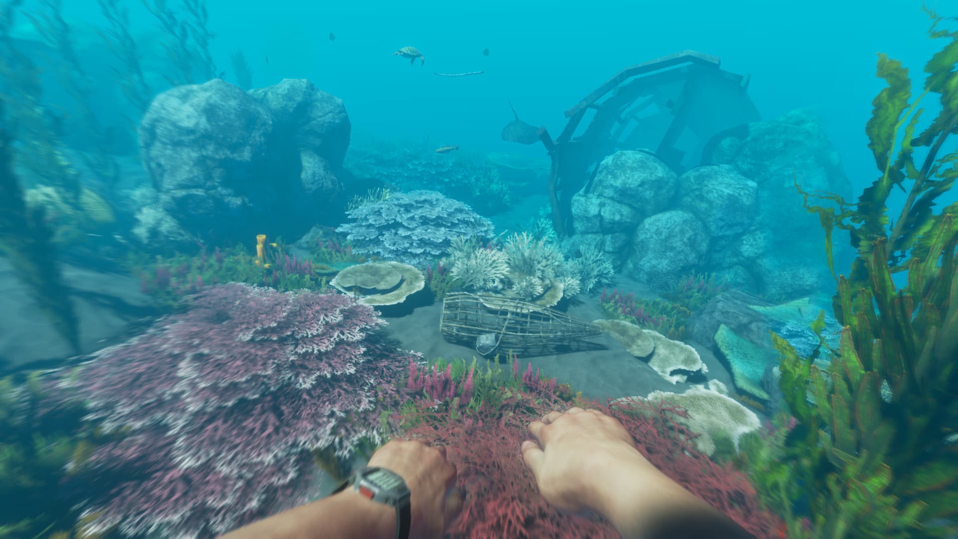 Stranded Deep Steam Account - 3